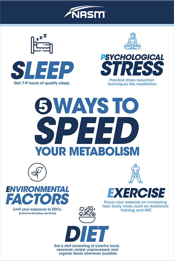 5 Ways to SPEED Up Your Metabolism NASM Blog